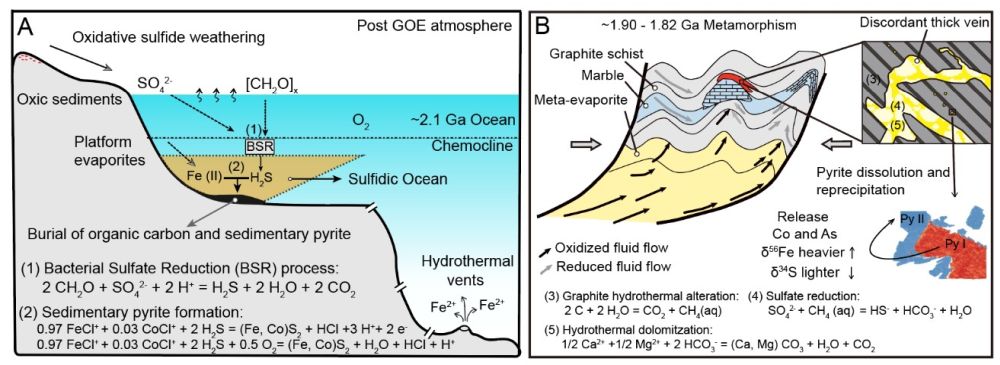 GCA：黄铁矿原位Fe-S同位素分析揭示钴在变质沉积地层中超常富集的机制